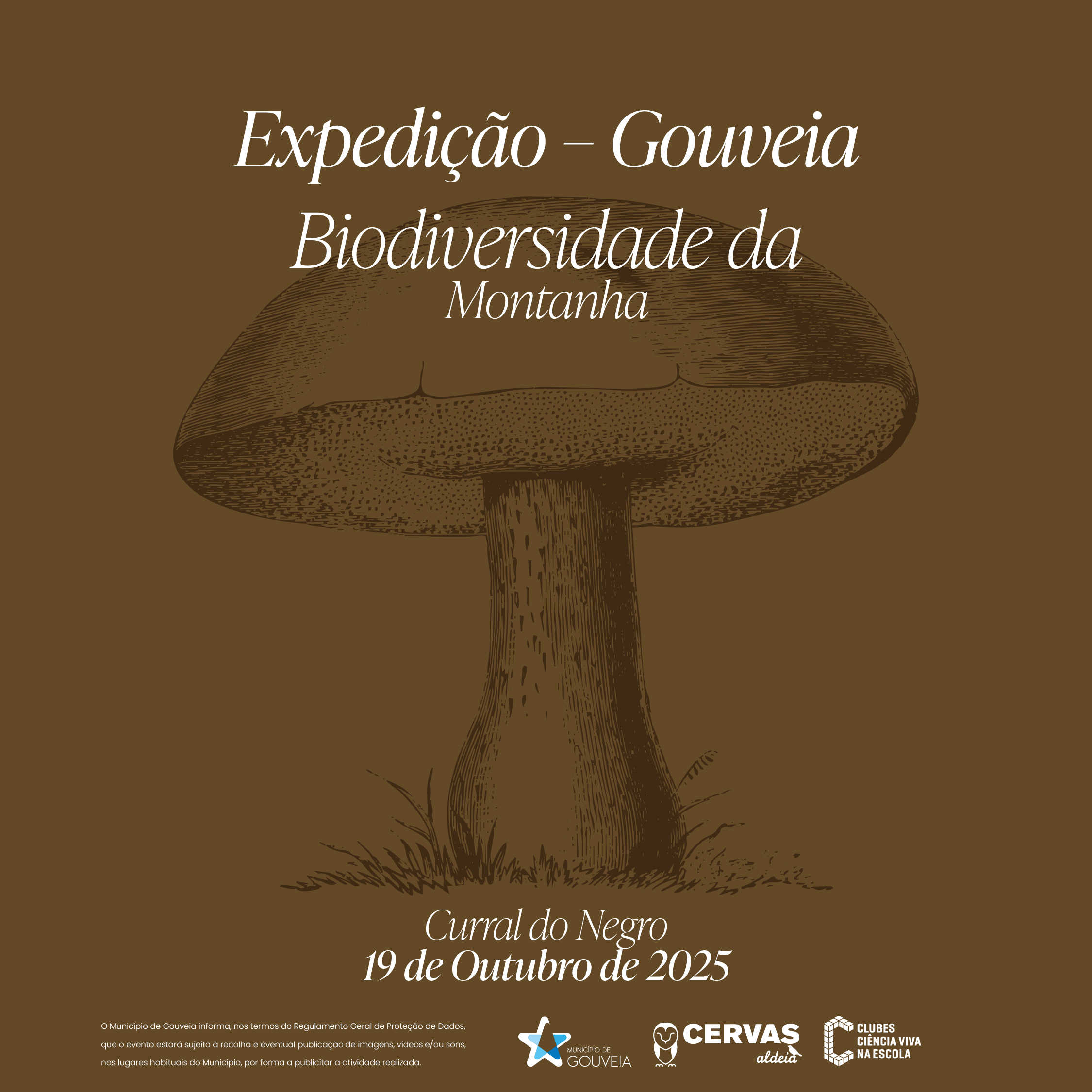 Expedio - Biodiversidade de Montanha