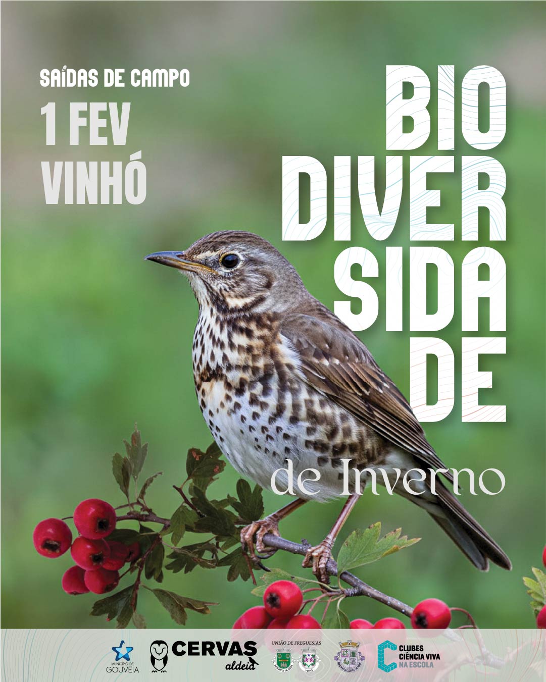 Biodiversidade de Inverno