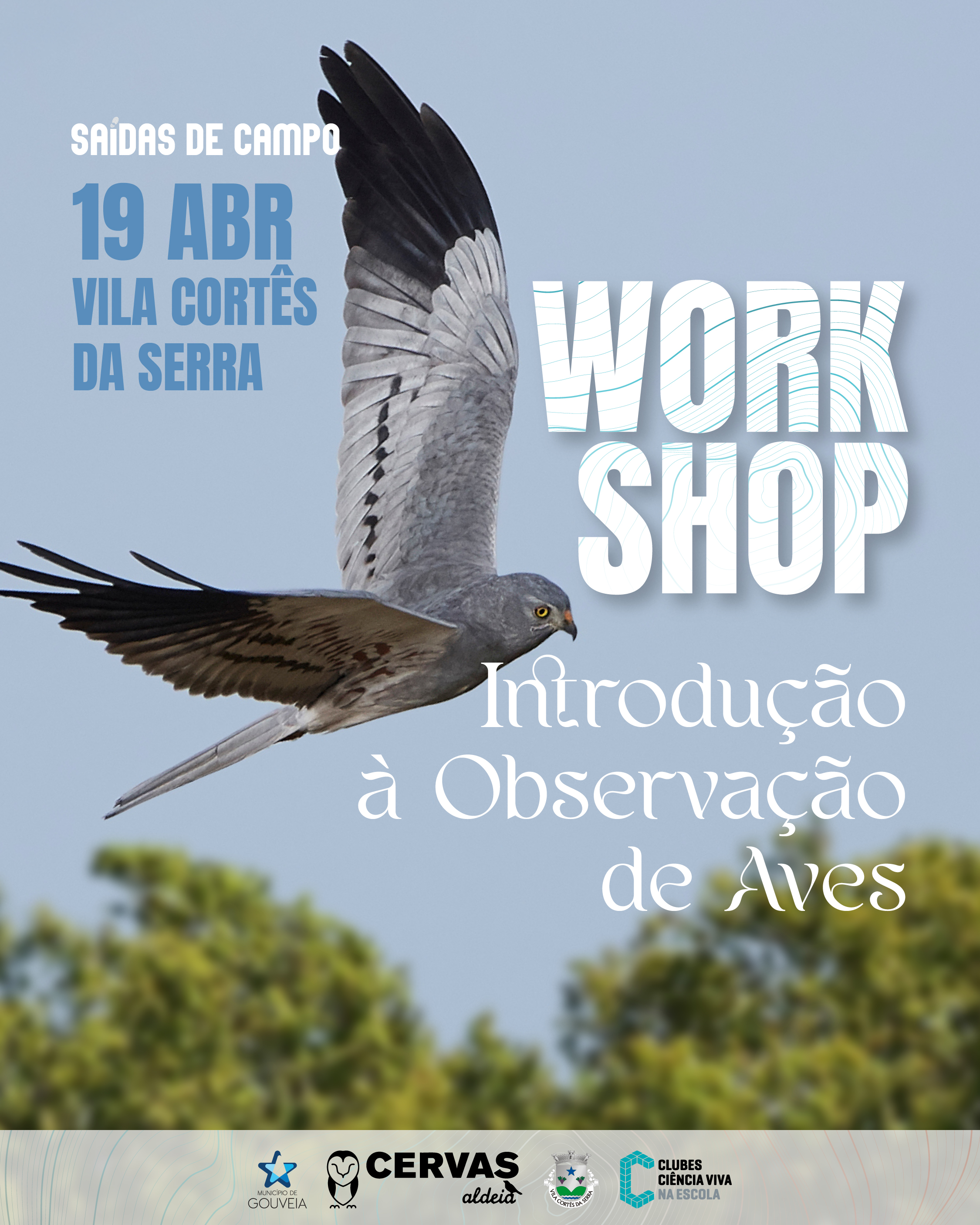 Workshop de Introdu��o � Observa��o de Aves