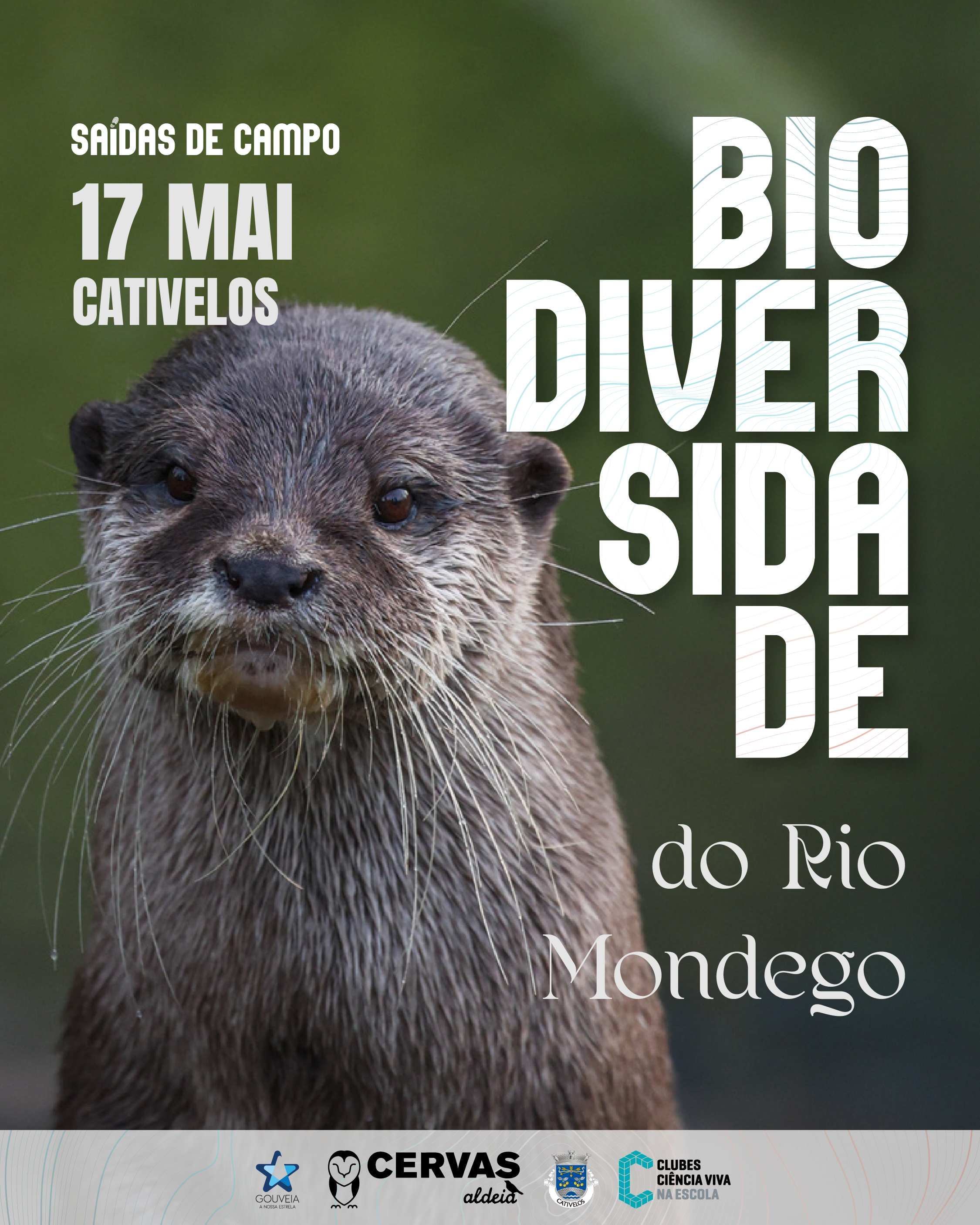 Biodiversidade do Rio Mondego