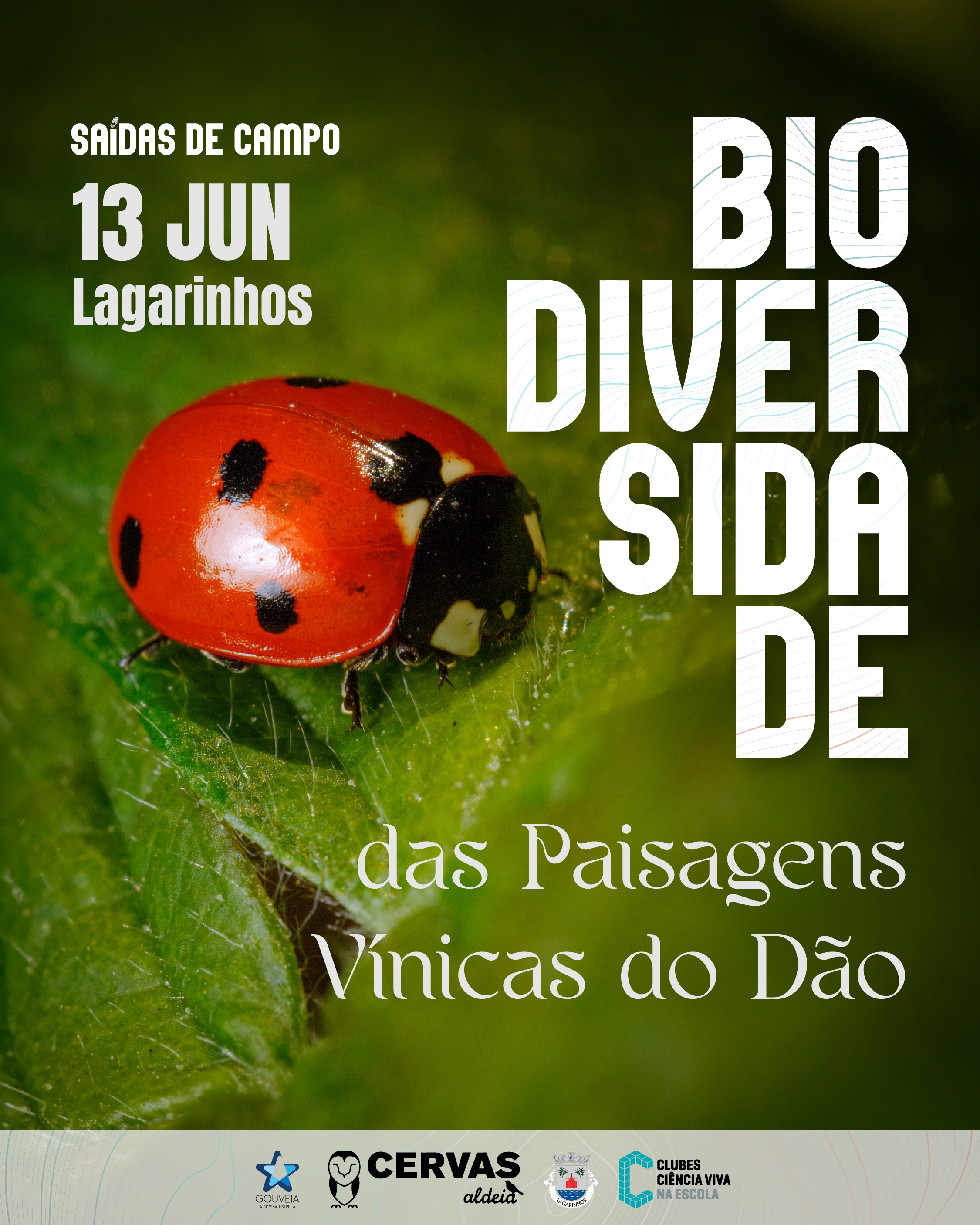Biodiversidade das Paisagens V�nicas do D�o